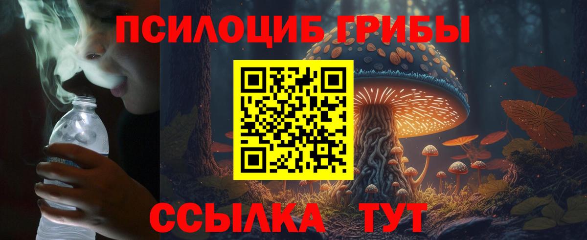 Псилоцибиновые грибы Cubensis  что такое наркотик  Кыштым  Вход с VPN 