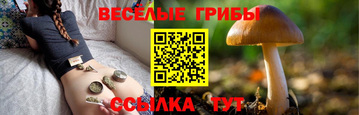 Галлюциногенные грибы GOLDEN TEACHER Кыштым